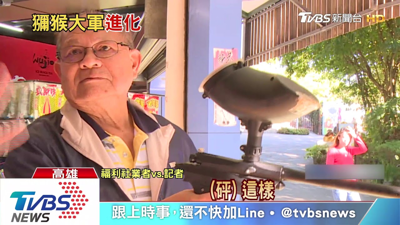 猴進化!學習人類動作 掀摩托車坐墊覓食