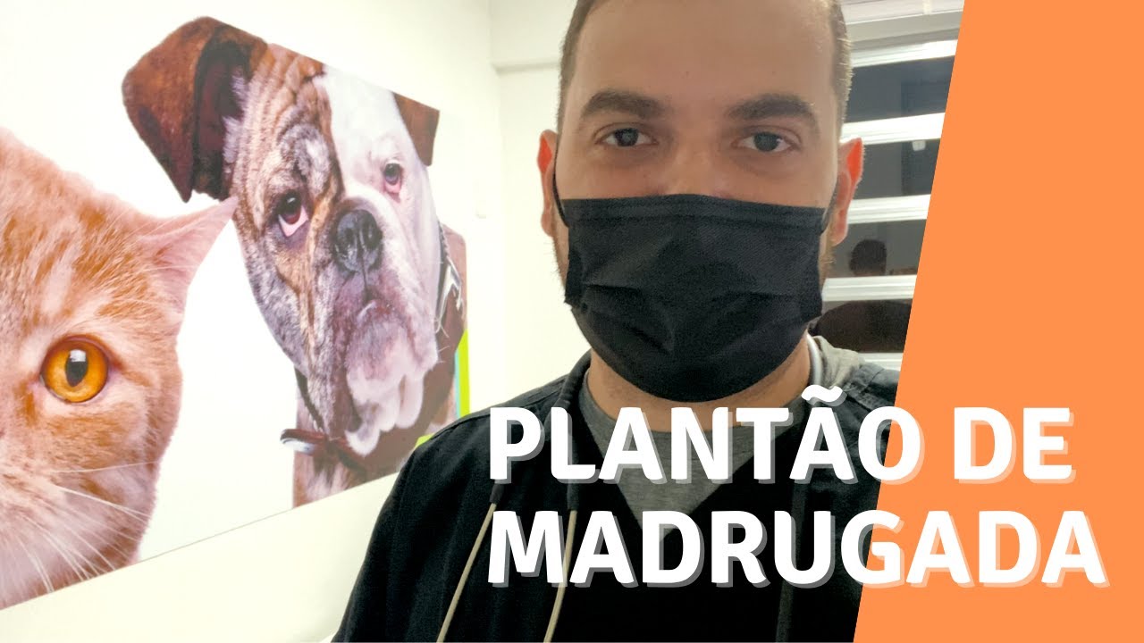 Venha trabalhar comigo! | 12h de plantão como médico veterinário