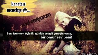 okunmayan yazılmayan sevdaya düşmüşüz anlamadan ( İzel saçmalık ) kanatsız menekşe