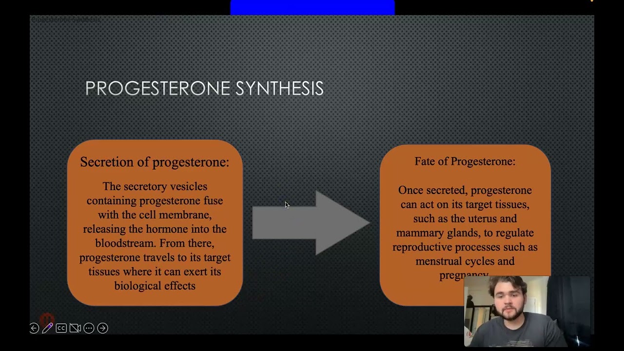 Macromolecule Flowchart