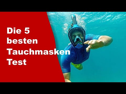 Tauchmasken Test ✔️ Top 5 besten Tauchmasken Test 2025 ( Aktualisiert )