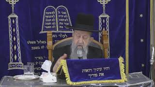 הרב בן ציון מוצפי • בית הכנסת סודאי (הרב בן ציון מוצפי) - התמונה מוצגת ישירות מתוך אתר האינטרנט יוטיוב. זכויות היוצרים בתמונה שייכות ליוצרה. קישור קרדיט למקור התוכן נמצא בתוך דף הסרטון