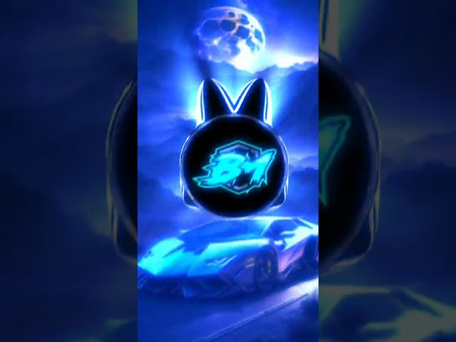 Video 6