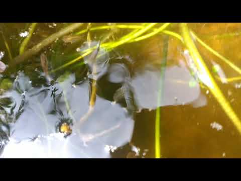 💔💔💔💔💔💔