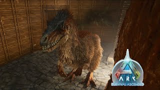 【ゆっくり実況】ARK Survival Ascended PS5 　雪山に進出しようと思う事件があった件　#1１