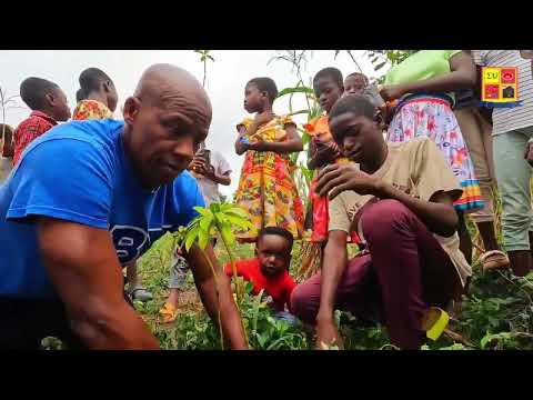 Play Video Youtube Video