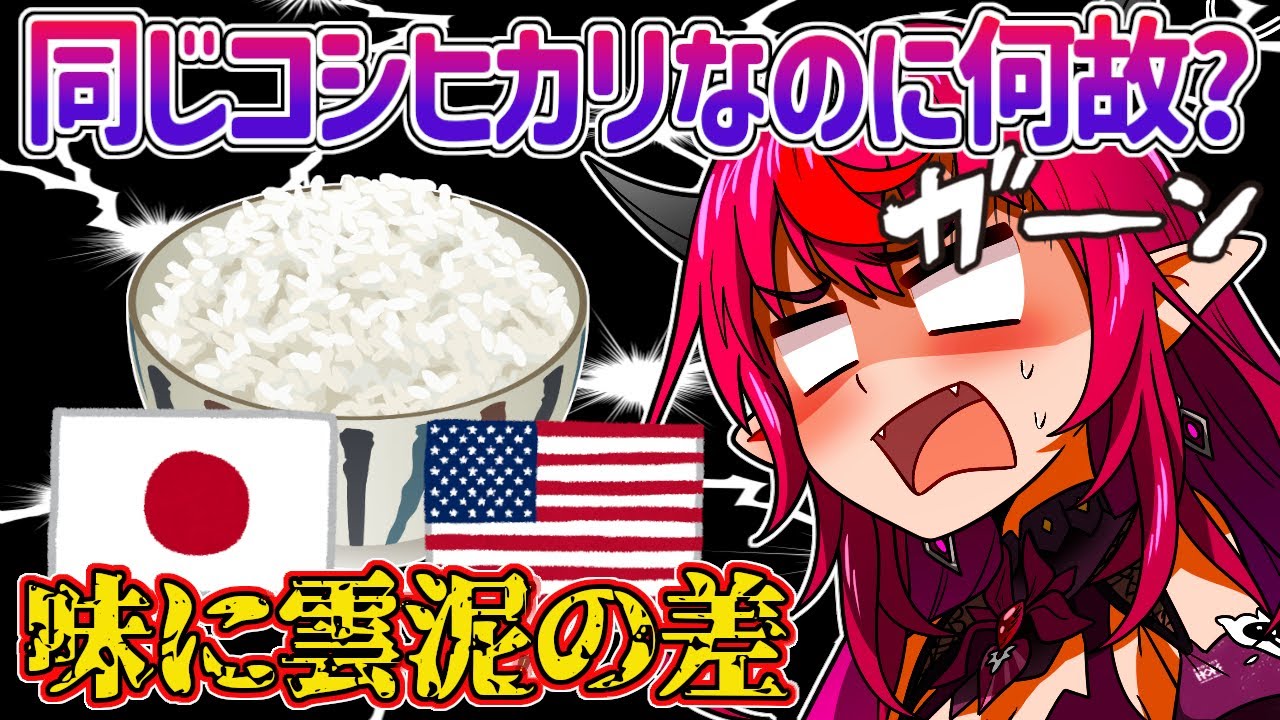 【日英字幕】日本とアメリカのコメの違いに気づいてしまったアイリスｗ【ホロライブEN翻訳切り抜き・IRyS】