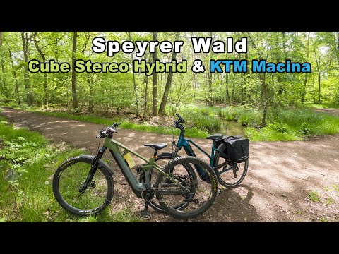 Wunderschöner Speyrer Wald | Cube Stereo Hybrid & KTM Macina