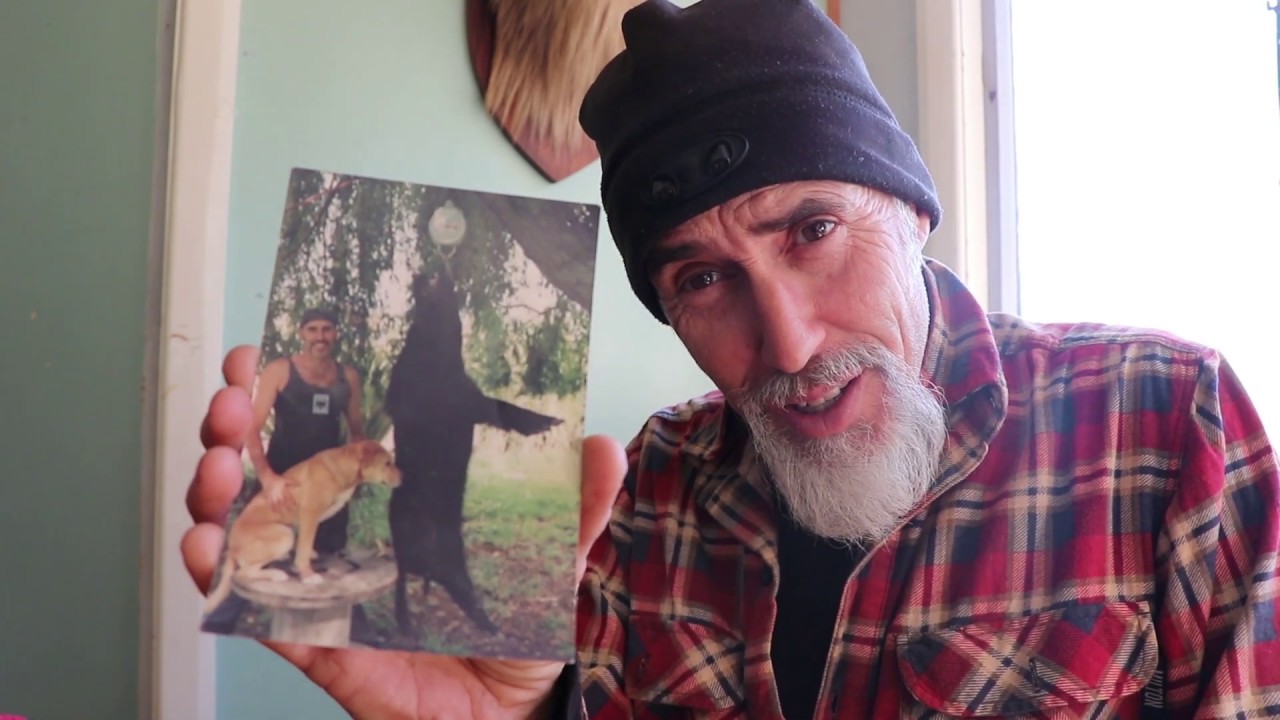 What is the best dog to get for pig hunting 