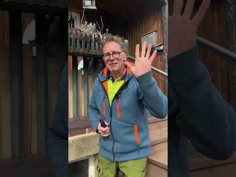 Rosenschnitt im Frühjahr 🌹