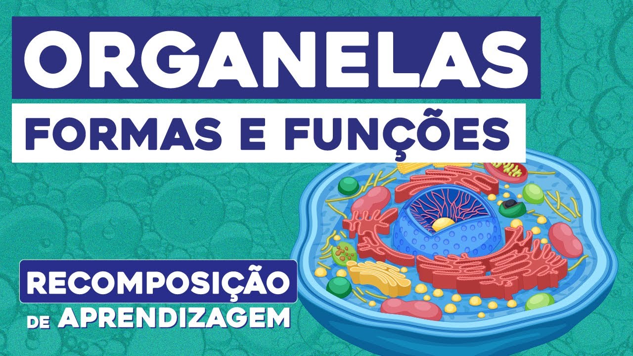 ORGANELAS: formas e funções | Biologia | Recomposição de Aprendizagem | Cláudia de Souza  Aguiar