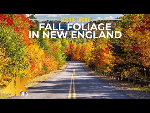 Autumn Scenic Roads of New England - Beautiful Fall Foliage in Connecticut - 4K Scenic Drive Video
