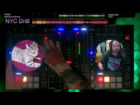 (#10) Live DnB Stream #10 - 80 Minutes of DnB from Dave Shichman