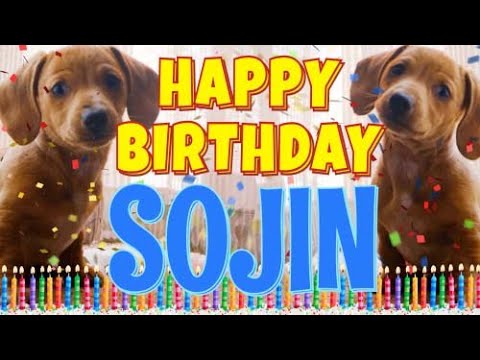 Happy Birthday Sojin! ( Funny Talking Dogs ) What Is Free On My Birthday
