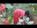 Ajke Barir Baganer Joggol Kate Pariskar Karlam Kalyanivlogs5548 Cleaning Washing