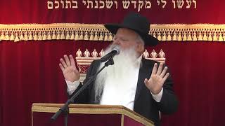 מעלת הצדקה | קצרים | הרב דניאל זר
