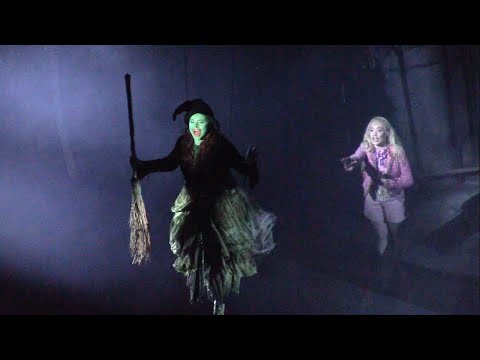 Vajen van den Bosch FREI UND SCHWERELOS | Wicked das musical