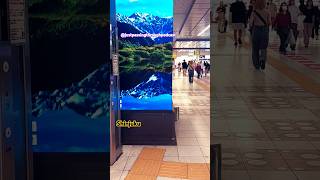 Tokyo Commute #japan #travel #temple