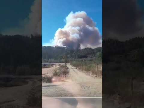 17 de enero cómo empezó el incendio #trinitaria 2026🔥primeros minutos #concepción #Penco🚁🔥💪