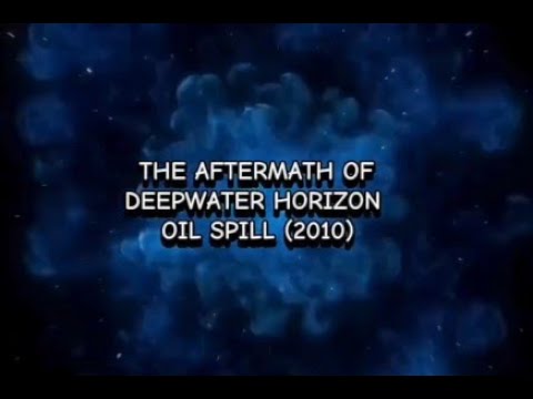 BWRRK3083 A Sem A241, Prepared with Dr  Habibah Tolos UUM