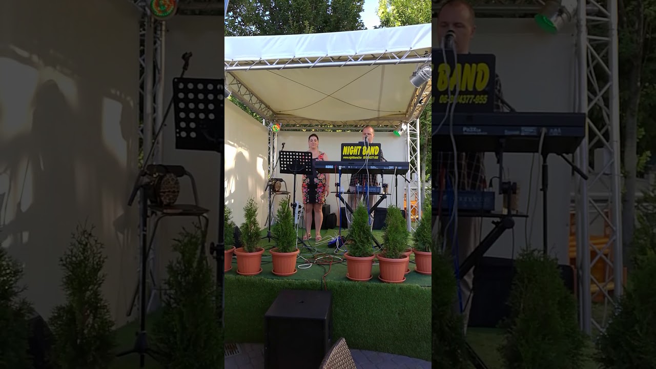 Despacito  :-) Night Band