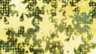 Never Alone Again Chapter 15- who the hell is that??