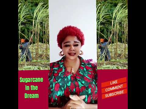 Dreams about sugarcane.# Interpretation #spiritual #meaning #everyone #nigeria #usa