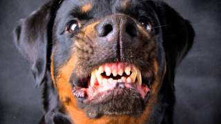 Cancerslug - new song "Taking the Knot"