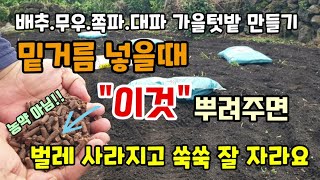 배추 무우 쪽파대파 밑거름 넣을때 농약말고 이것도 함께 뿌려보세요 벌레 싹 사라집니다 친환경토양살충제 벌레퇴…