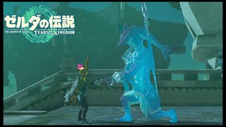 【43】ぼっち勇者の天空探検【ゼルダの伝説ティアーズオブザキングダム】