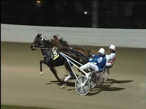 Trotto 09/12/2018 - 8ª corsa