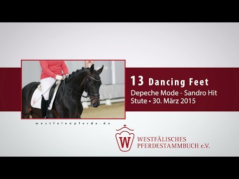 13 Dancing Feet Stute v. Depeche Mode - Sandro Hit