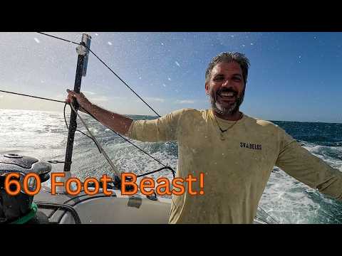 Episode 13: Cleared into Australia and then Full Sending it on a 60ft Performance Cat in 35 knots!