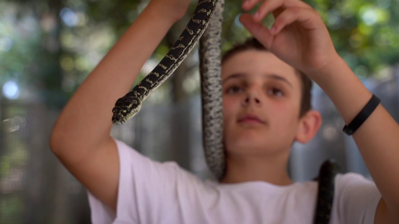 Experience the highlights of Blackbutt Reserve.