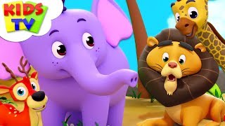 Zoo Song | Super Supremes Cartoons | Kindergarten Nursery Rhymes For Toddlers | Kids Videos