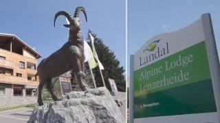 Landal Alpine Lodge Lenzerheide - Mittelbünden - Afbeelding N°2