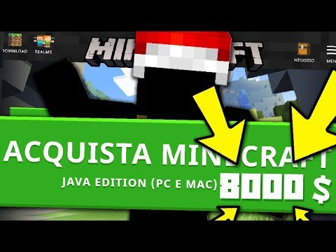 QUESTO ACCOUNT DI MINECRAFT COSTA 8.000 $ - Vlogdì