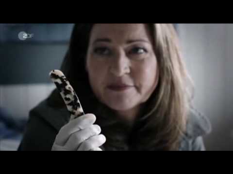 Das Duo 23 Der Tote Mann und das Meer