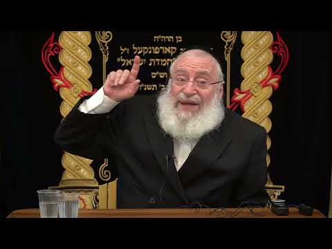 Erev Pesach on Shabbos | Shiur by Harav Asher Weiss (2025)