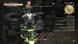 ［実況］MMO&amp;実況初心者が送るFF14 #42［王冠を取り戻せ！］