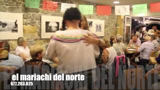 mariachi azteca 2015, la bikina