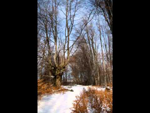 Istenszéke - Kelemen havasok.