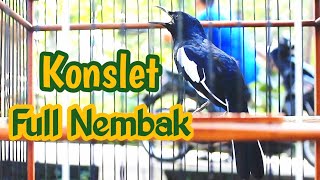 Download lagu KACER KONSLET BONGKAR MATERI NEMBAK KASAR AMPUH BIKIN KACER LAIN EMOSI NAIK DAN IKUT GACOR ON PLAY mp3