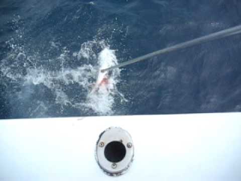 Miami Beach Fishing aziz