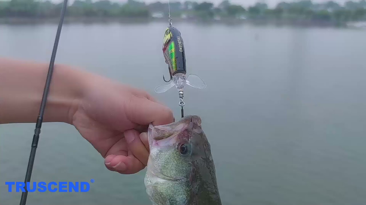 This Topwater Plopper Gets Explosive Bass Strikes! 💥