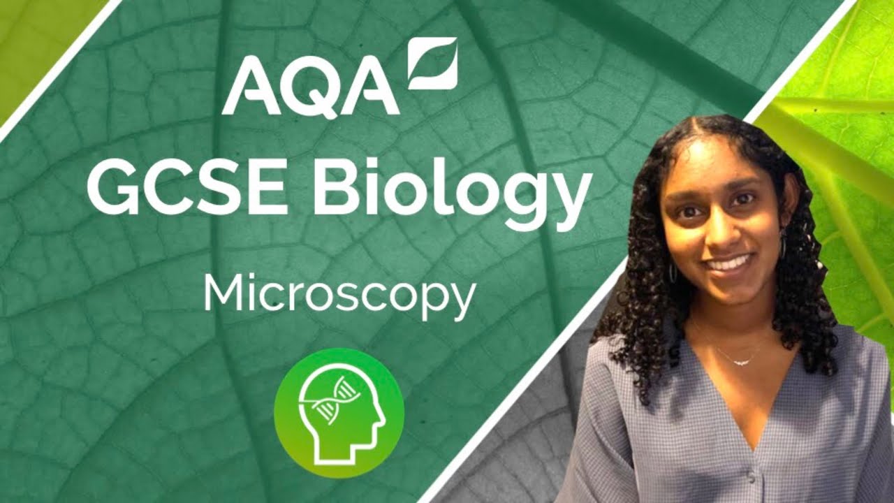 AQA GCSE Biology: Microscopy