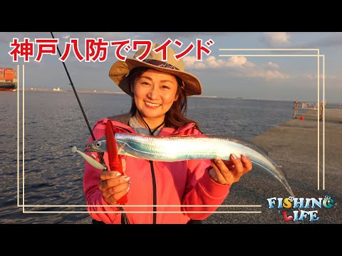 神戸八防・ワインドで太刀魚を狙う！