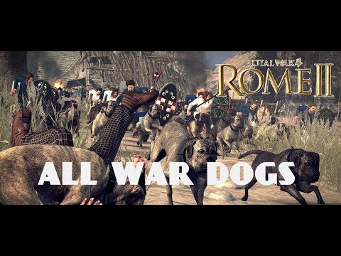 Rome 2- All war dogs!!!