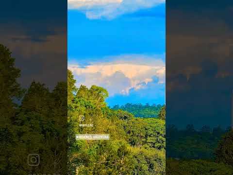 Olegario Víctor Andrade. #fauna #naturaleza #cielo #shortvideo #misiones #viralshort #argentina