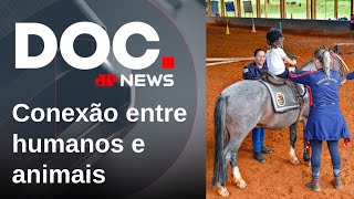 Equoterapia: a força dos cavalos na reabilitação de crianças e adultos